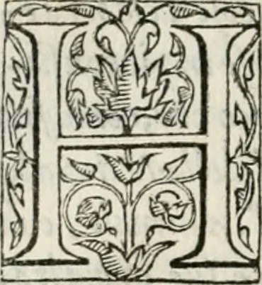 An illustration from Il primo libro del trattato delle perfette proporzioni, di tutte le cose che imitare, e ritrarre si possano con l'arte del disegno, 1567, leaf 29