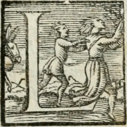 An illustration from Il primo libro del trattato delle perfette proporzioni, di tutte le cose che imitare, e ritrarre si possano con l'arte del disegno, 1567, leaf 30