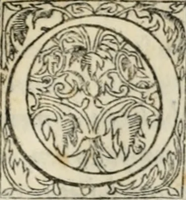 An illustration from Il primo libro del trattato delle perfette proporzioni, di tutte le cose che imitare, e ritrarre si possano con l'arte del disegno, 1567, leaf 34