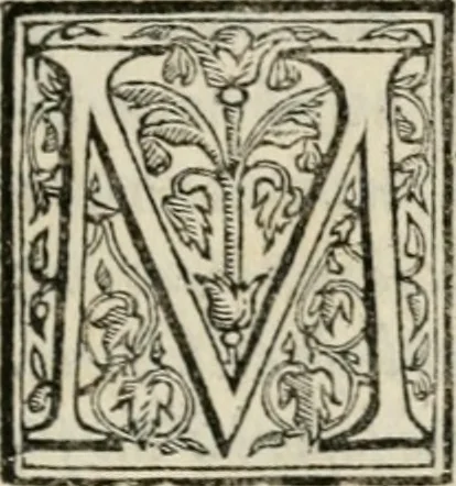 An illustration from Il primo libro del trattato delle perfette proporzioni, di tutte le cose che imitare, e ritrarre si possano con l'arte del disegno, 1567, leaf 38