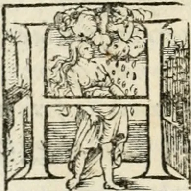 An illustration from Il primo libro del trattato delle perfette proporzioni, di tutte le cose che imitare, e ritrarre si possano con l'arte del disegno, 1567, leaf 41