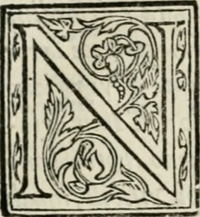 An illustration from Il primo libro del trattato delle perfette proporzioni, di tutte le cose che imitare, e ritrarre si possano con l'arte del disegno, 1567, leaf 48