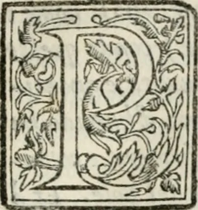 An illustration from Il primo libro del trattato delle perfette proporzioni, di tutte le cose che imitare, e ritrarre si possano con l'arte del disegno, 1567, leaf 54