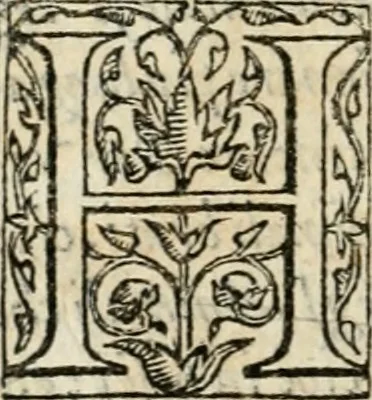 An illustration from Il primo libro del trattato delle perfette proporzioni, di tutte le cose che imitare, e ritrarre si possano con l'arte del disegno, 1567, leaf 69