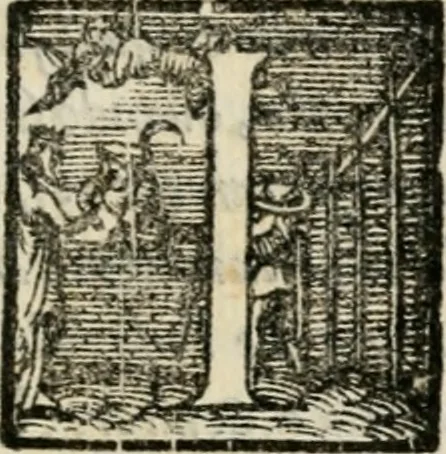 An illustration from Il primo libro del trattato delle perfette proporzioni, di tutte le cose che imitare, e ritrarre si possano con l'arte del disegno, 1567, leaf 72