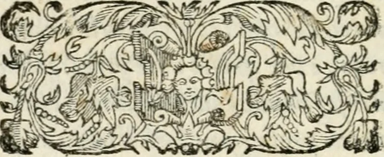 An illustration from Il primo libro del trattato delle perfette proporzioni, di tutte le cose che imitare, e ritrarre si possano con l'arte del disegno, 1567, leaf 77
