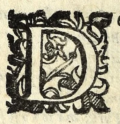 An illustration from Il ragazzo : comedia, 1594, leaf 104