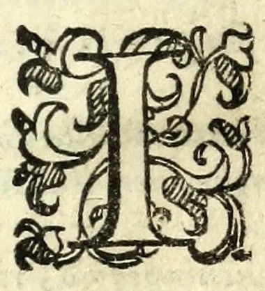An illustration from Il ragazzo : comedia, 1594, leaf 11