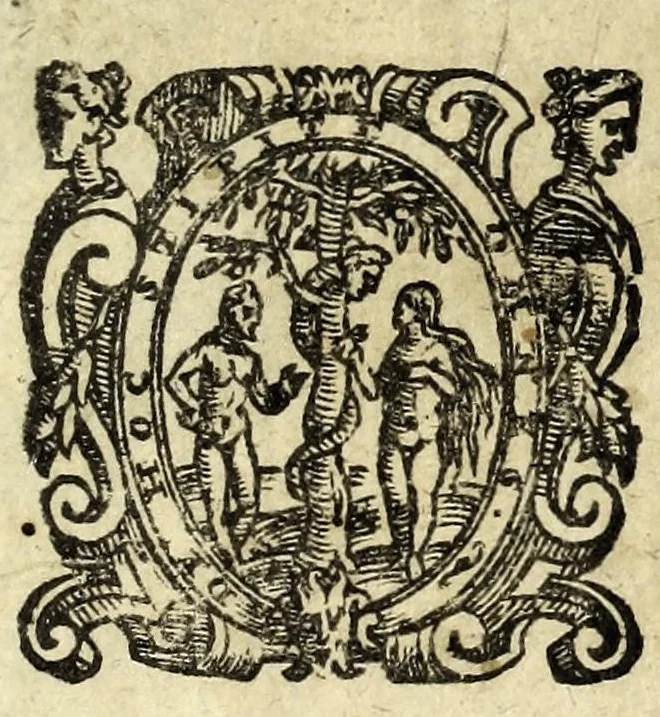 An illustration from Il ragazzo : comedia, 1594, leaf 3