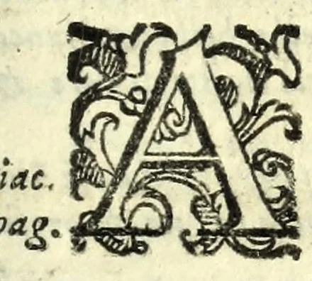 An illustration from Il ragazzo : comedia, 1594, leaf 33