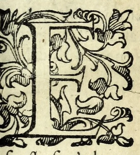 An illustration from Il ragazzo : comedia, 1594, leaf 5