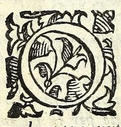 An illustration from Il ragazzo : comedia, 1594, leaf 58