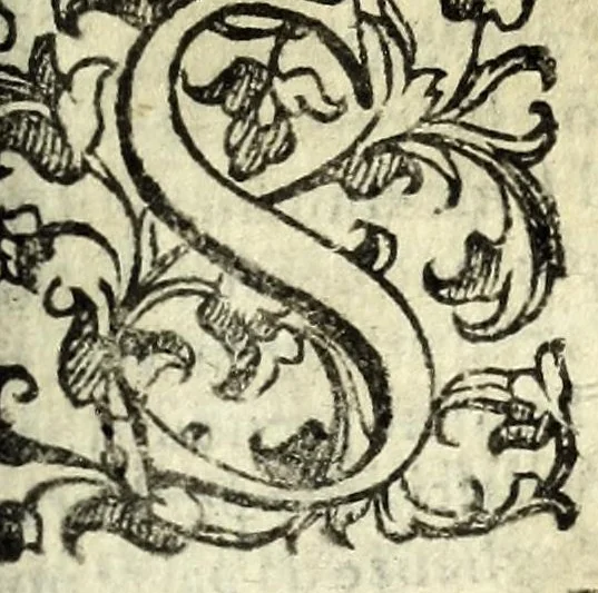 An illustration from Il ragazzo : comedia, 1594, leaf 7
