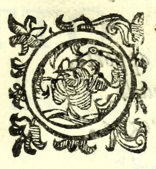 An illustration from Il re Artemidoro : tragedia, 1604, leaf 29