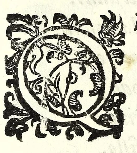 An illustration from Il re Artemidoro : tragedia, 1604, leaf 38
