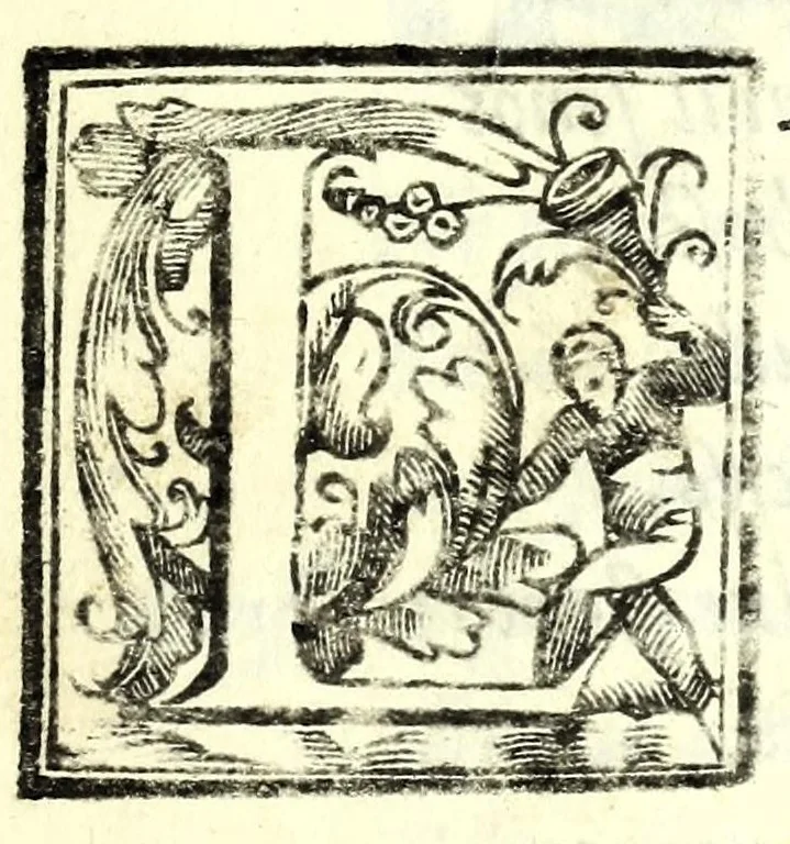 An illustration from Il re Artemidoro : tragedia, 1604, leaf 55