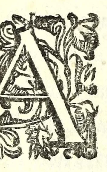 An illustration from Il re Artemidoro : tragedia, 1604, leaf 64