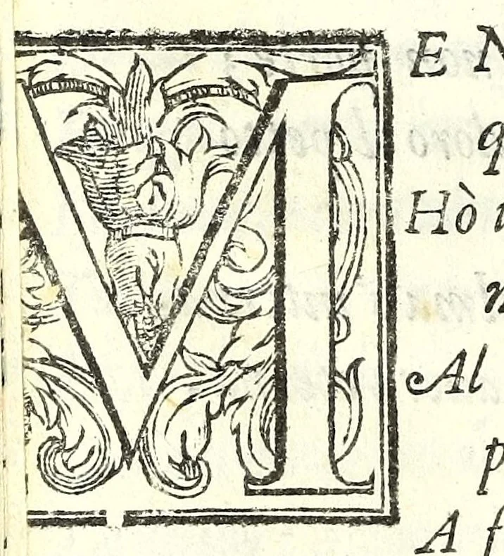 An illustration from Il re Artemidoro : tragedia, 1604, leaf 66