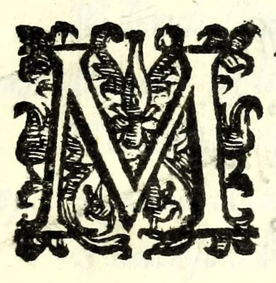 An illustration from Il re Artemidoro : tragedia, 1604, leaf 67