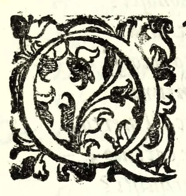 An illustration from Il re Gernando : tragedia, 1624, leaf 107
