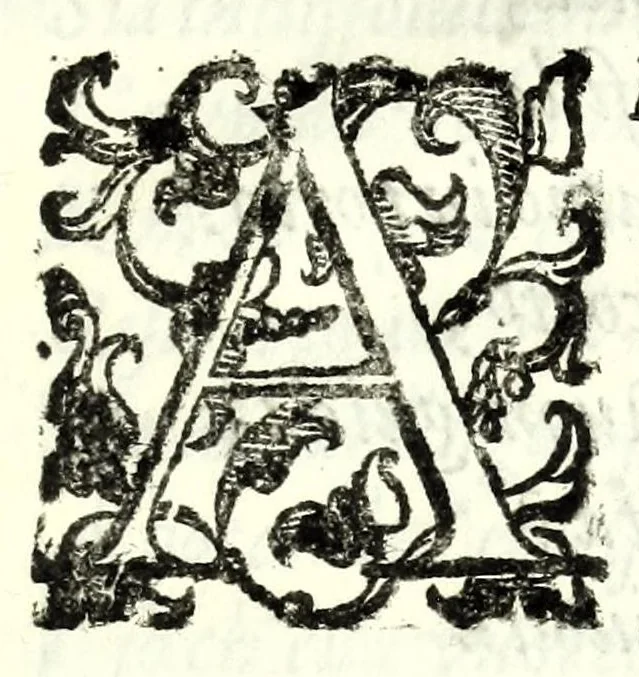 An illustration from Il re Gernando : tragedia, 1624, leaf 111