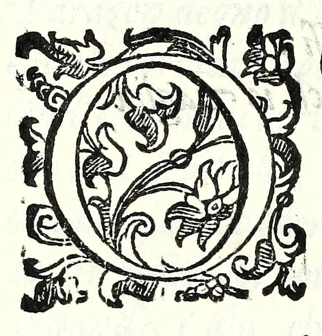 An illustration from Il re Gernando : tragedia, 1624, leaf 124
