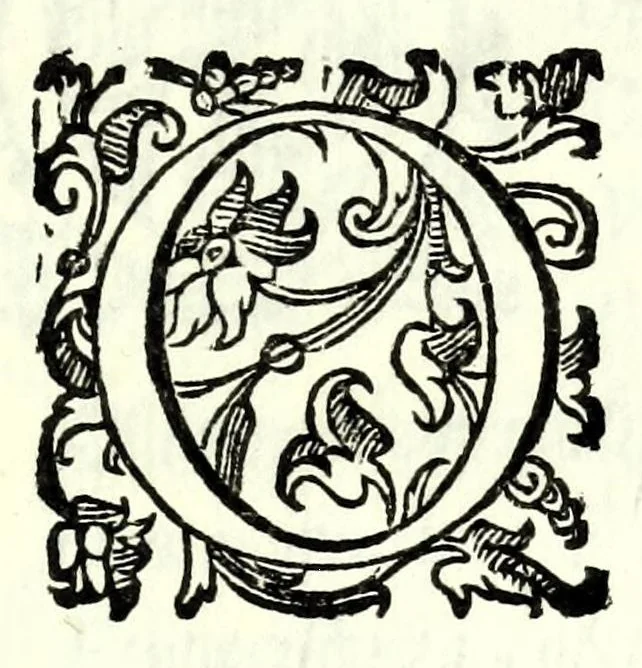 An illustration from Il re Gernando : tragedia, 1624, leaf 131