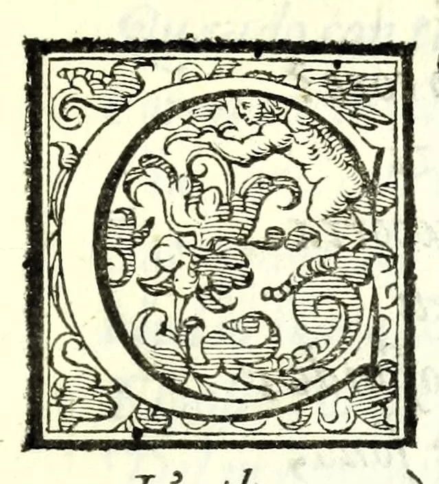 An illustration from Il re Gernando : tragedia, 1624, leaf 15