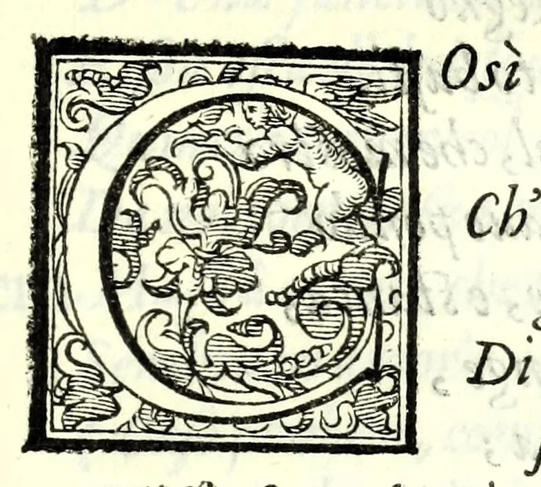 An illustration from Il re Gernando : tragedia, 1624, leaf 39