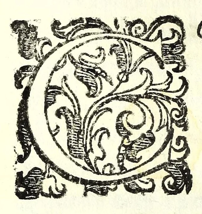 An illustration from Il re Gernando : tragedia, 1624, leaf 44