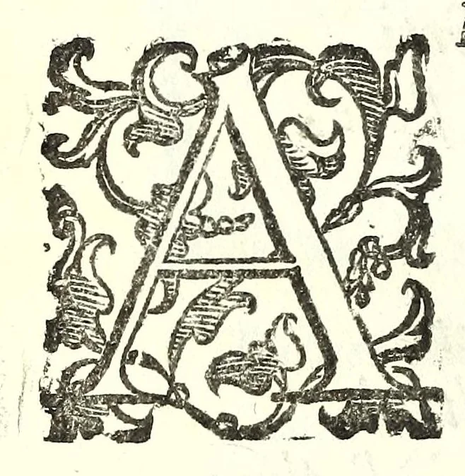 An illustration from Il re Gernando : tragedia, 1624, leaf 46