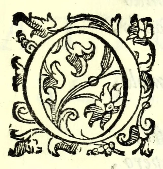 An illustration from Il re Gernando : tragedia, 1624, leaf 59
