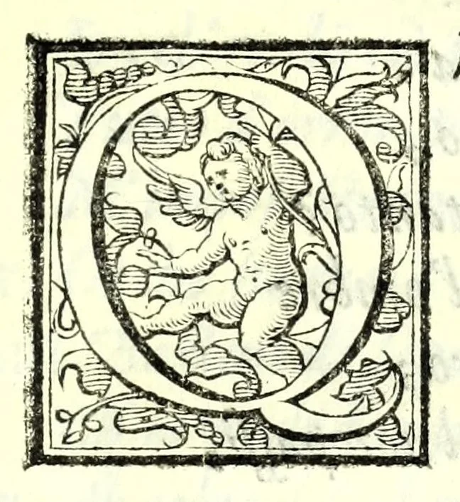 An illustration from Il re Gernando : tragedia, 1624, leaf 61
