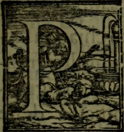 An illustration from Il regno de gli Slavi, hoggi correttamente detti schiavoni, 1601, leaf 22