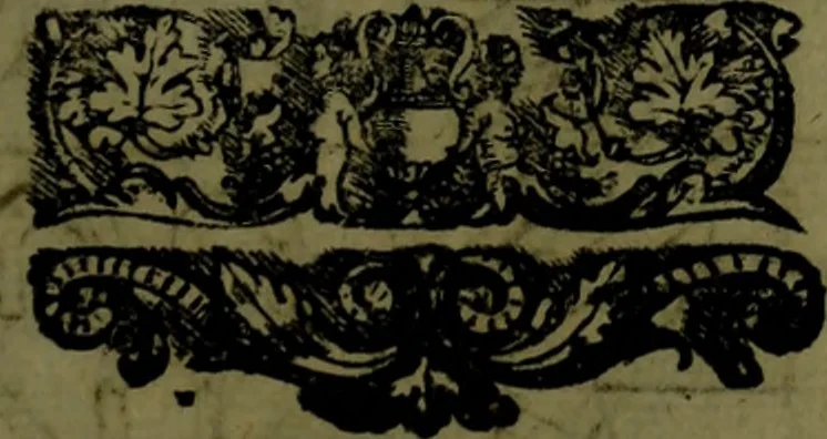 An illustration from Il regno de gli Slavi, hoggi correttamente detti schiavoni, 1601, leaf 262