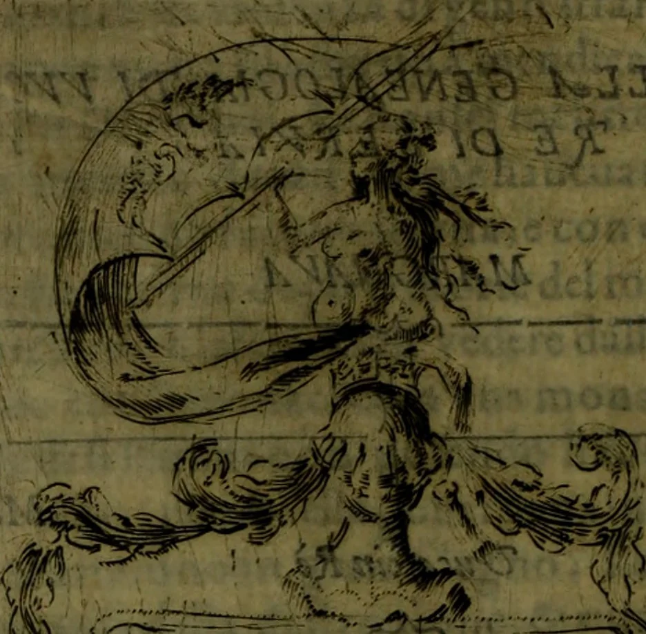 An illustration from Il regno de gli Slavi, hoggi correttamente detti schiavoni, 1601, leaf 295