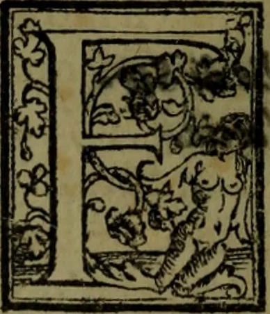 An illustration from Il regno de gli Slavi, hoggi correttamente detti schiavoni, 1601, leaf 295