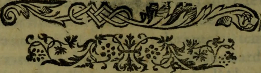 An illustration from Il regno de gli Slavi, hoggi correttamente detti schiavoni, 1601, leaf 301