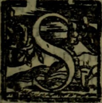 An illustration from Il regno de gli Slavi, hoggi correttamente detti schiavoni, 1601, leaf 302