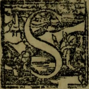 An illustration from Il regno de gli Slavi, hoggi correttamente detti schiavoni, 1601, leaf 365