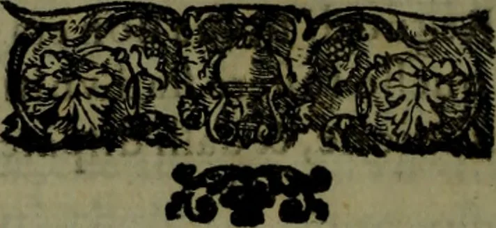 An illustration from Il regno de gli Slavi, hoggi correttamente detti schiavoni, 1601, leaf 399