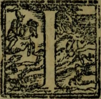 An illustration from Il regno de gli Slavi, hoggi correttamente detti schiavoni, 1601, leaf 411