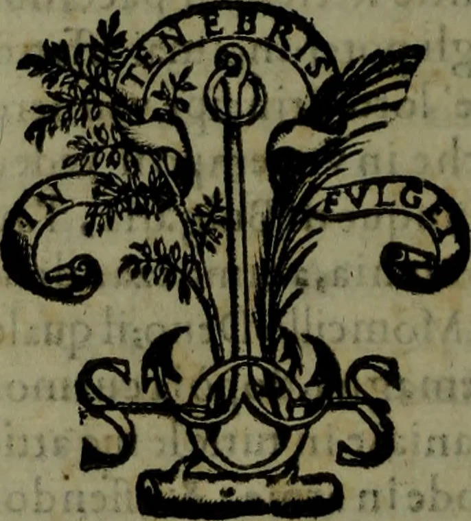 An illustration from Il regno de gli Slavi, hoggi correttamente detti schiavoni, 1601, leaf 495