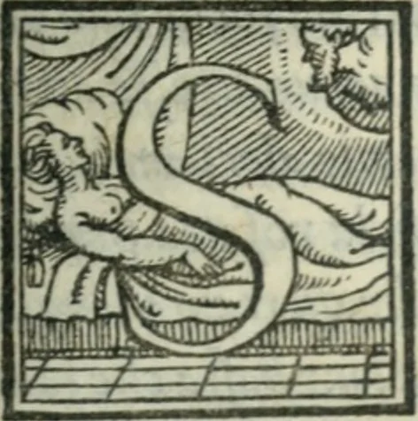 An illustration from Il rimanente de le piacevole, et ingeniose lettere indirizzate a diuersi, con bellissime argutie. Sotto varii, et sottilissimi discorsi, dechiarati, 1557, leaf 52