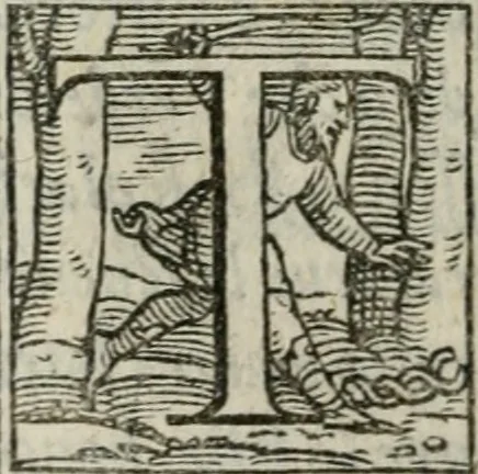 An illustration from Il rimanente de le piacevole, et ingeniose lettere indirizzate a diuersi, con bellissime argutie. Sotto varii, et sottilissimi discorsi, dechiarati, 1557, leaf 65