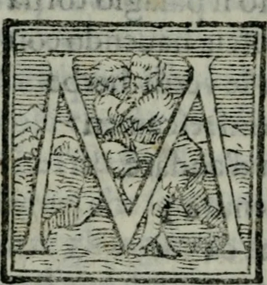 An illustration from Il riposo di Raffaello Borghini, in cvi della pittvra, e della scultura si fauella, de'piu illustri pittori, e scultori, et delle piu famose opere loro si fa mentione; e le cose principali appartenenti à dette arti s'insegnano, 1584, leaf 175