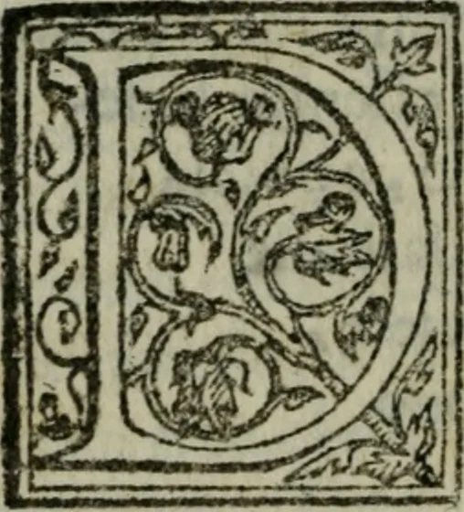An illustration from Il riposo di Raffaello Borghini, in cvi della pittvra, e della scultura si fauella, de'piu illustri pittori, e scultori, et delle piu famose opere loro si fa mentione; e le cose principali appartenenti à dette arti s'insegnano, 1584, leaf 507