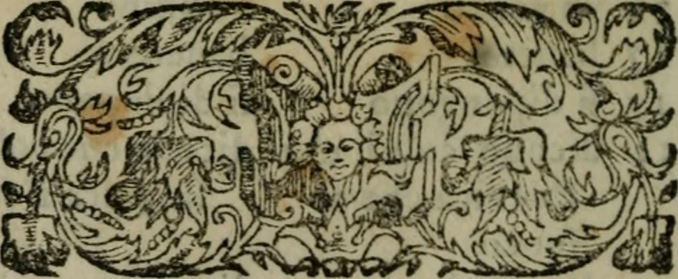 An illustration from Il riposo di Raffaello Borghini, in cvi della pittvra, e della scultura si fauella, de'piu illustri pittori, e scultori, et delle piu famose opere loro si fa mentione; e le cose principali appartenenti à dette arti s'insegnano, 1584, leaf 51