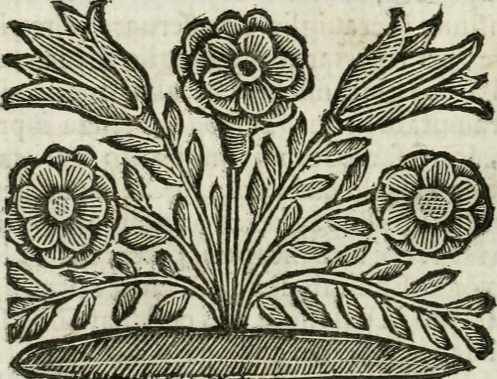 An illustration from Il ritratto di Milano : diuiso in tre libri, 1674, leaf 183