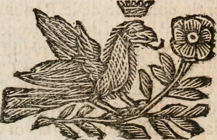 An illustration from Il ritratto di Milano : diuiso in tre libri, 1674, leaf 239